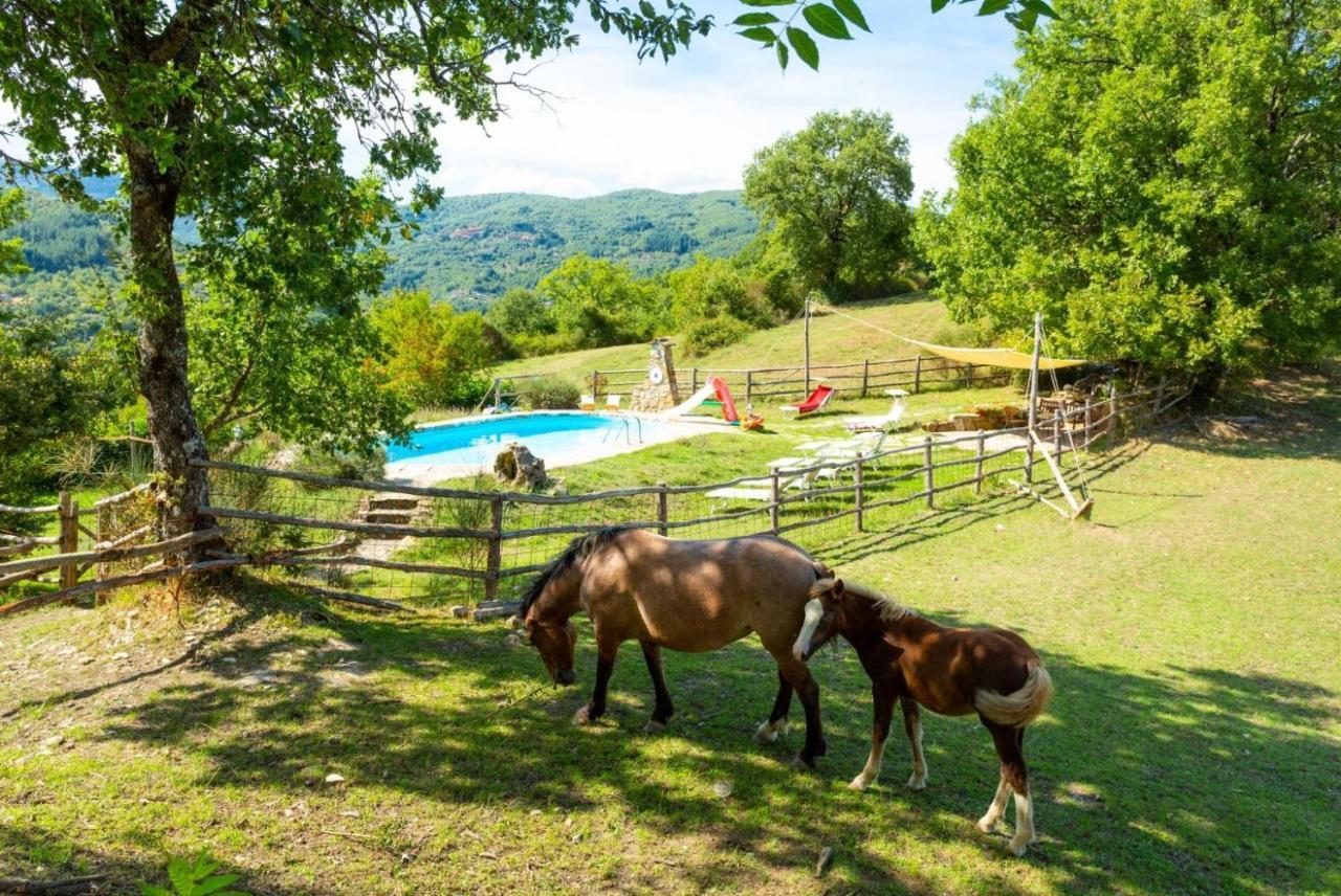 Villa Bellavista Arezzo Ngoại thất bức ảnh