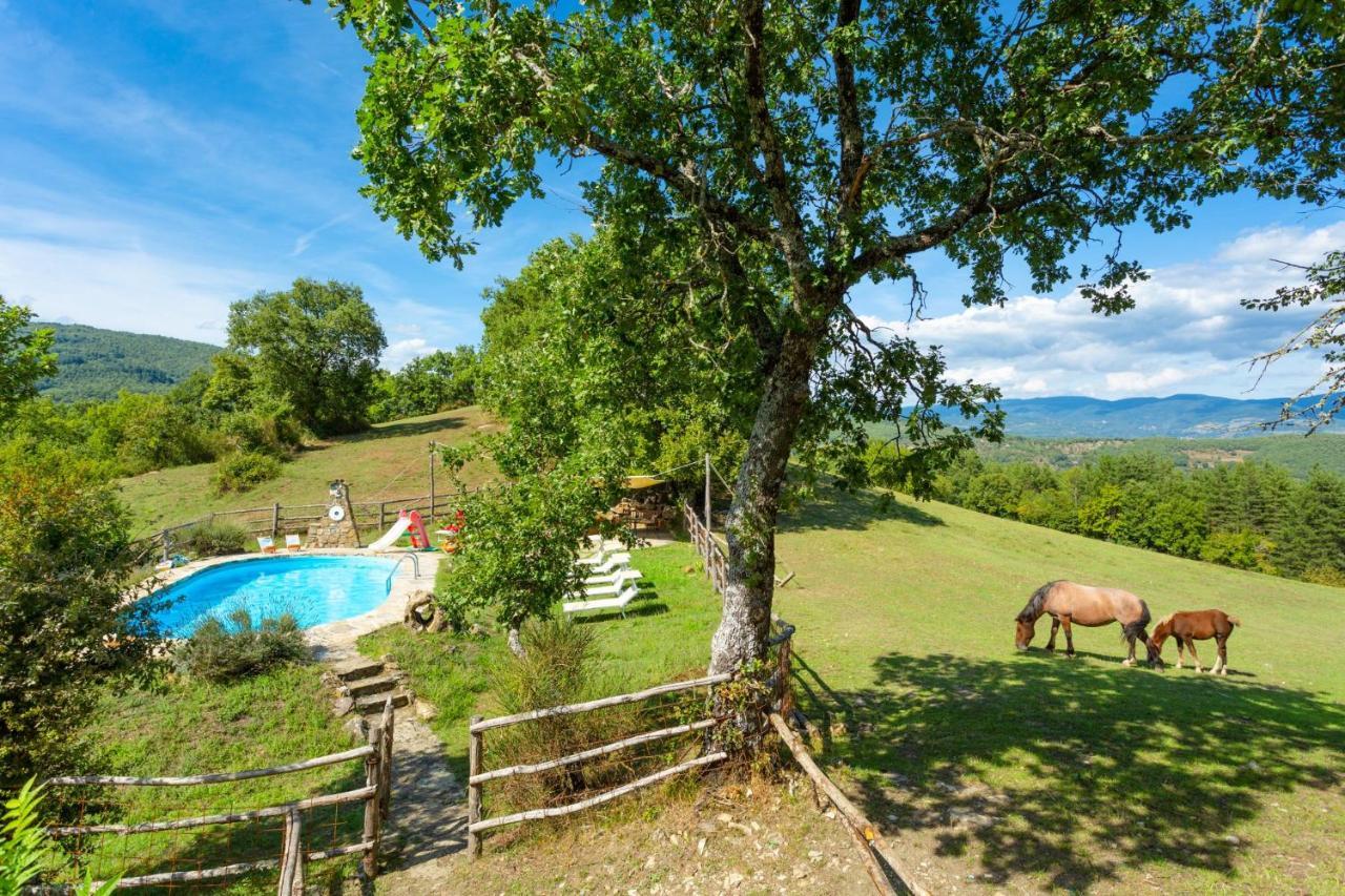 Villa Bellavista Arezzo Ngoại thất bức ảnh